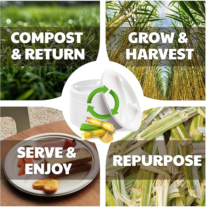 Compostable 3-Compartment Paper Plates, 125 Count, 10 Inch, Heavy Duty Disposable Divided Lunch Trays, Biodegradable Bagasse Sectional Plates for Buffet, Parties, Events & Daily Use, (White)
