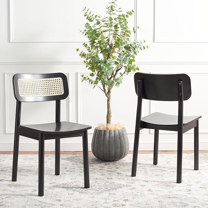 SAFAVIEH Home Collection Egon Coastal Black/Natural Dining Chair Set of 2