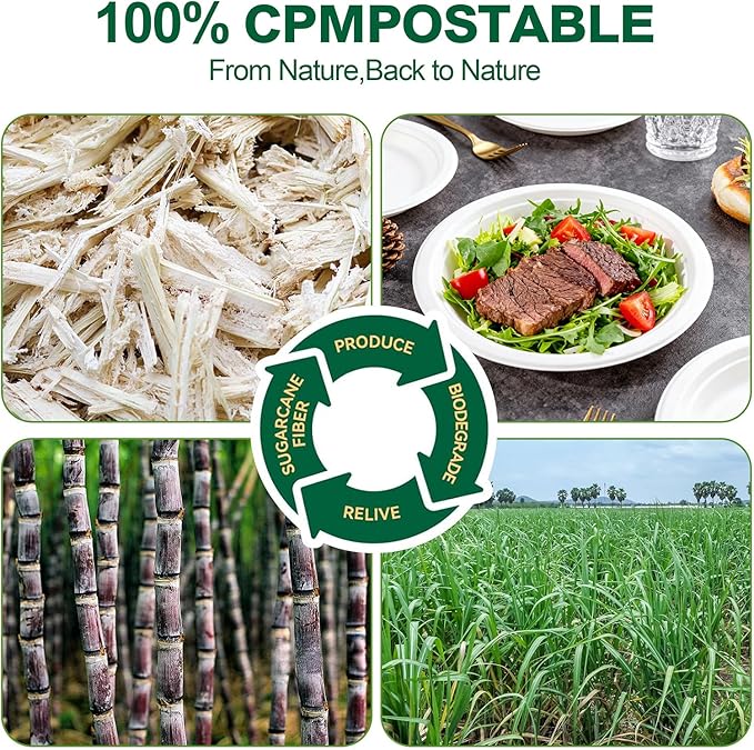DaYammi 100% Compostable Paper Plates 7 Inch, 60-Pack Heavy Duty Paper Plates Bulk,Biodegradable Bagasse,Eco-Friendly Disposable Dessert Plate for BBQ,Picnic,Party (BPI Certified,Microwaveable)