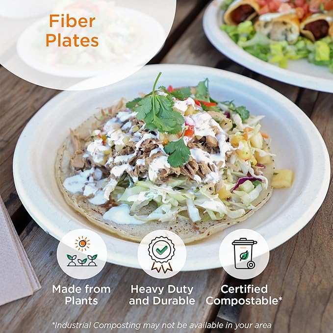 World Centric Compostable Round Paper Plates, 9" (Pack of 250), Made from Unbleached Plant Fiber, Sustainable, Heavy Duty, Grease Resistant, Microwave & Freezer Safe, PFAS Free