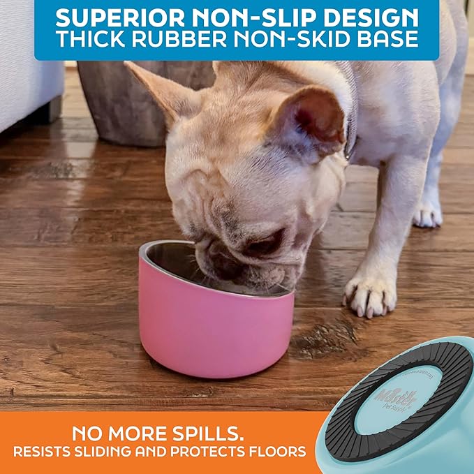 Master Pet Supply Stainless Steel Slanted Dog Cat Food Bowl - 8 oz Heavy Duty - Aqua Sky, Double Wall Insulated, Non-Slip Elevated Bowl for French Bulldogs Pugs Cats, Anti Rust Dishwasher Safe
