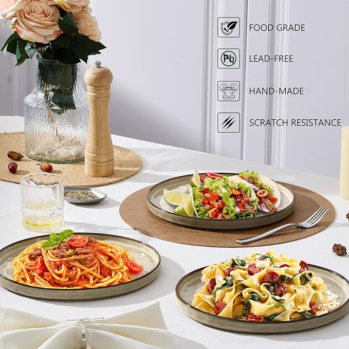LIANYU Ceramic Plates Set for 4, 10.2In Porcelain Dinner Salad Appetizer Plates for Kitchen, Modern Round Stoneware Dining Dish Set, Scratch Resistant, Microwave, Oven and Dishwasher Safe, Sandy Beige