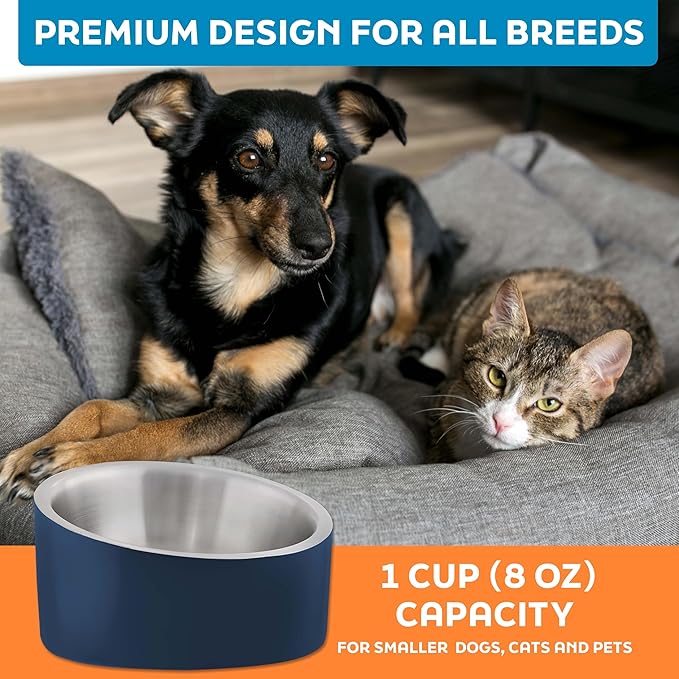 Master Pet Supply Stainless Steel Slanted Dog Cat Food Bowl - 8 oz Heavy Duty - Navy Blue, Double Wall Insulated, Non-Slip Elevated Bowl for French Bulldogs Pugs Cats, Anti Rust Dishwasher Safe