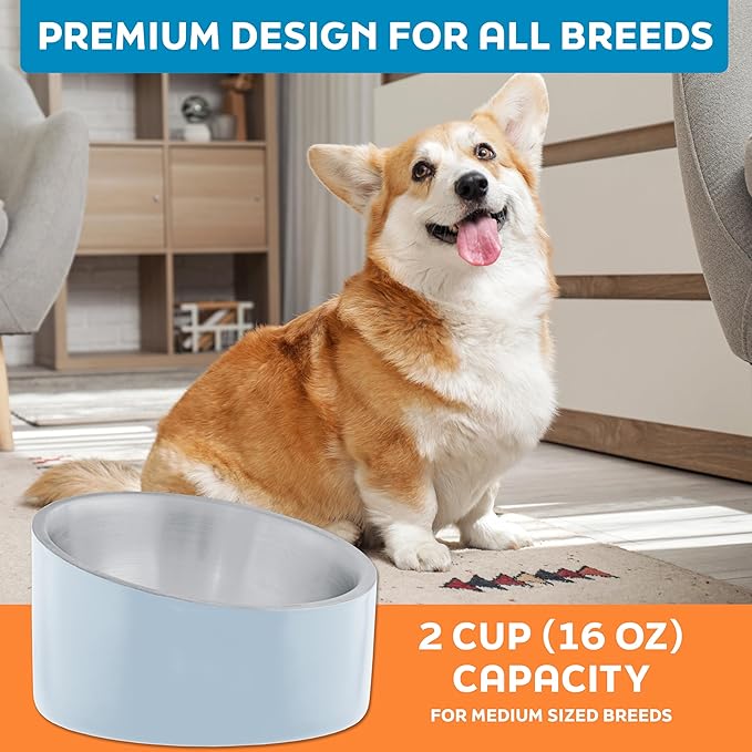 Master Pet Supply Stainless Steel Slanted Dog Cat Food Bowl - 16 oz Heavy Duty - Glacier Blue, Double Wall Insulated, Non-Slip Elevated Bowl for French Bulldogs Pugs Cats, Anti Rust Dishwasher Safe