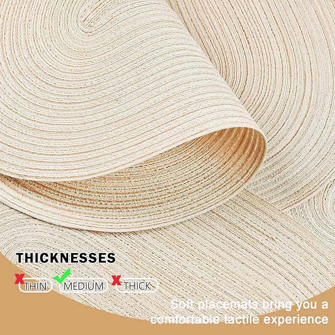 Noctiflorous Oval Braided Placemats Set of 6 Woven 12x18 Inch Non Slip Washable Heat Resistant Place Mats Round Tablemats for Dining Kitchen Party Daily Table Decor Dinner Mats (Beige, 6)