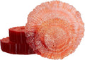U-QE 60PCS Clear Orange Plates - Reef Orange Plastic Plates Disposable&Reusable - Heavy Duty Plastic Plate Including 30 Dinner Plate 10" & 30 Dessert 7" Perfect for Party