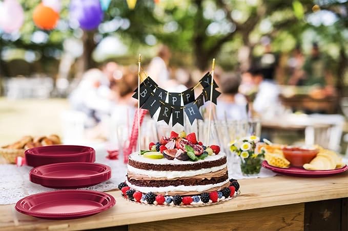Burgundy Plastic Plates For Party 9" Burgundy Disposable Plates Heavy Duty 100 Pcs Plastic Dinnerware Sets Heavy Duty 350 GSM Disposable Dinnerware Set