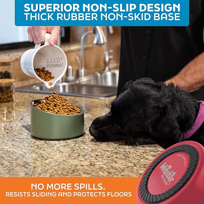 Master Pet Supply Stainless Steel Slanted Dog Cat Food Bowl - 24 oz Heavy Duty - Crimson Flame, Double Wall Insulated, Non-Slip Elevated Bowl for French Bulldogs Pugs Cats, Anti Rust Dishwasher Safe