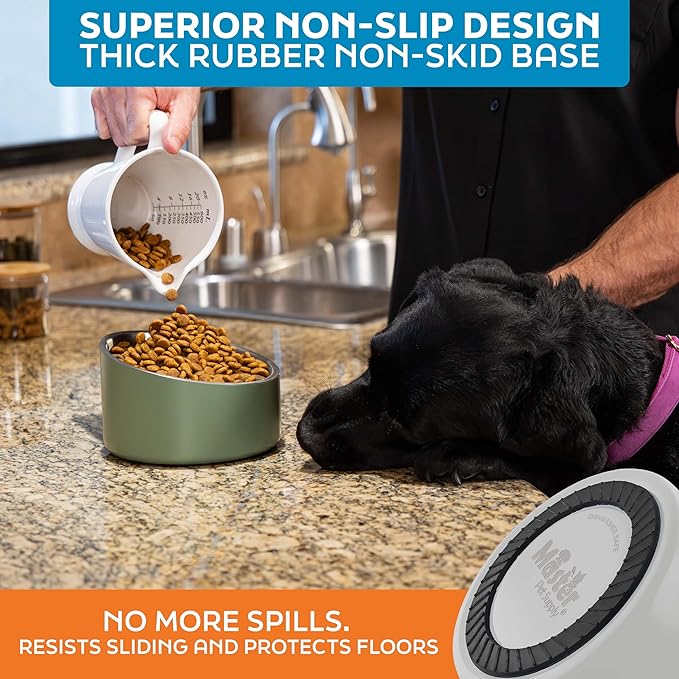 Master Pet Supply Stainless Steel Slanted Dog Cat Food Bowl - 24 oz Heavy Duty - Bone White, Double Wall Insulated, Non-Slip Elevated Bowl for French Bulldogs Pugs Cats, Anti Rust Dishwasher Safe