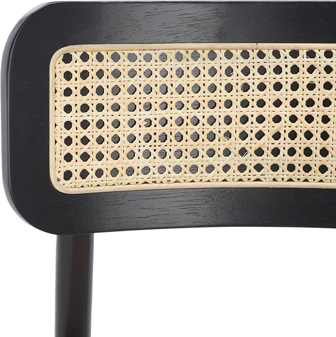 SAFAVIEH Home Collection Egon Coastal Black/White Dining Chair Set of 2