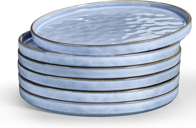 LIANYU 6PCS Ceramic Flat Dinner Plates Set, Porcelain Salad Appetizer Dishes with High Edge, 10.2” Dessert Plates Set, Microwave, Oven, dishwasher Safe, Chip & Scratch Resistant, Serenity Blue