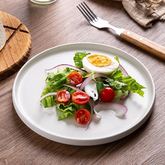 AmorArc Stoneware Dinner Plates Set of 6, 10.5 Inch Reactive Matte Glaze Ceramic Plates Set, Modern Dinnerware Dish set for Kitchen,Microwave, Dishwasher Safe, Scratch Resistant,Matte White