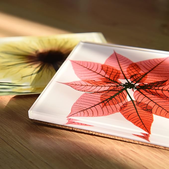 Empire Art Direct 12 PCS Flower Coasters for Drinks, Cup Coaster for Tabletop Protection, Coffee Table Coaster Set, Glass Floral Coasters Set with Cork Bottom by Albert Koetsier B3