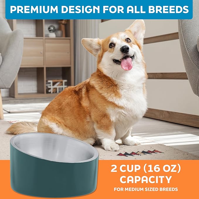Master Pet Supply Stainless Steel Slanted Dog Cat Food Bowl - 16 oz Heavy Duty - Emerald Sea, Double Wall Insulated, Non-Slip Elevated Bowl for French Bulldogs Pugs Cats, Anti Rust Dishwasher Safe