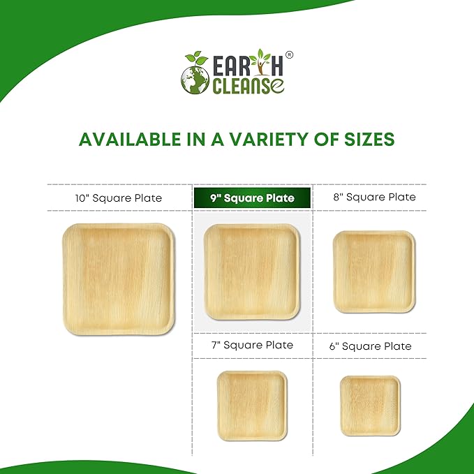 Compostable Palm Leaf Plates 9 Inch Square (100 Pack) | Disposable Biodegradable Plates Like Bamboo & Wooden | Microwave & Oven Safe | Eco-Friendly