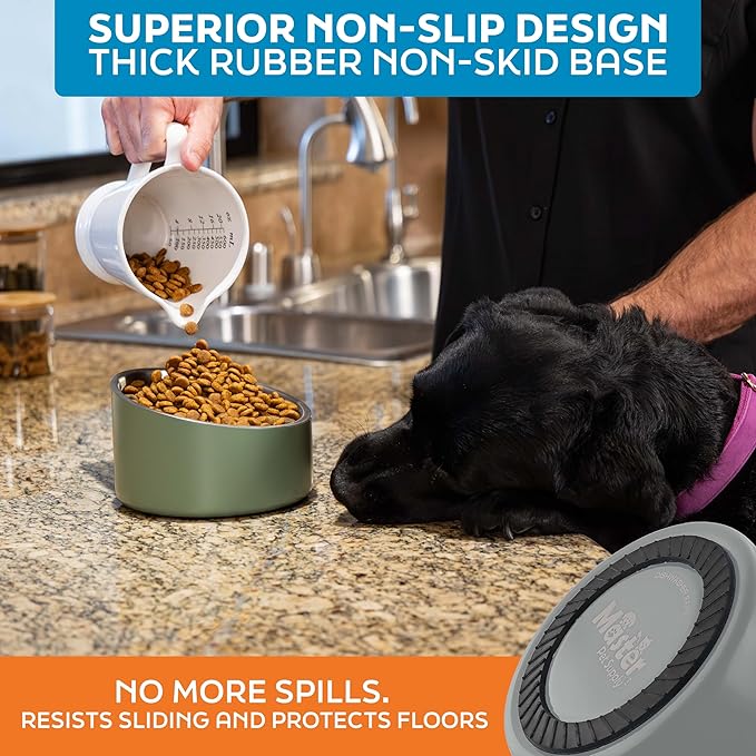 Master Pet Supply Stainless Steel Slanted Dog Cat Food Bowl - 24 oz Heavy Duty - Graphite, Double Wall Insulated, Non-Slip Elevated Bowl for French Bulldogs Pugs Cats, Anti Rust Dishwasher Safe