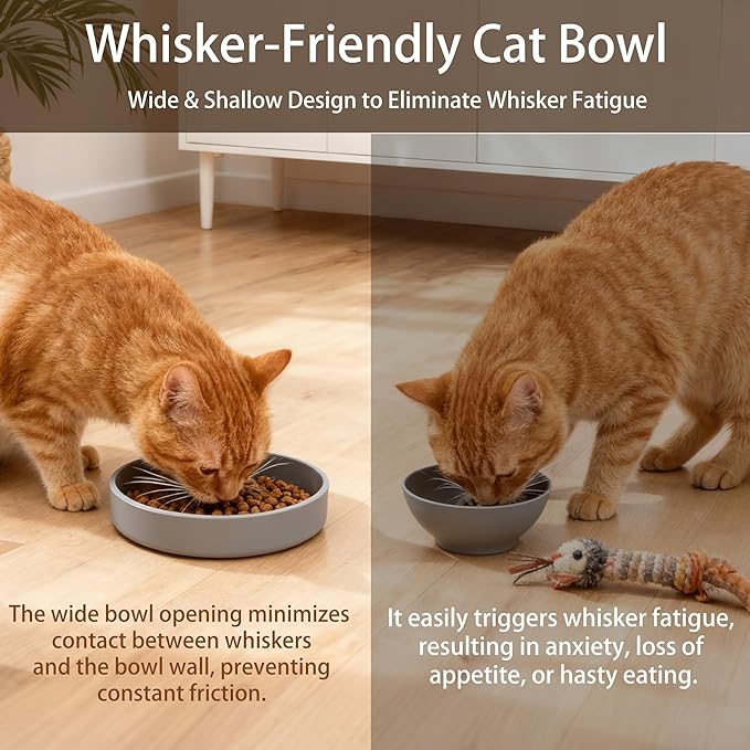 2 Pcs Silicone Cat Bowls Non-Slip Cat Dish for Dry & Wet Food Shallow Relief Whisker Fatigue Pet Bowl Set for Cats Small Dogs, Green with Grey
