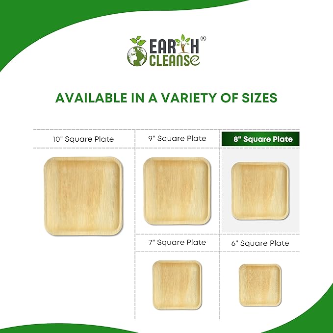 Palm Plates 10 Inch – Compostable Areca Leaf Square Plates (200 Count) | Biodegradable & Eco-Friendly | Like Bamboo Disposable Plates | Microwave & Oven Safe | USDA BioPreferred