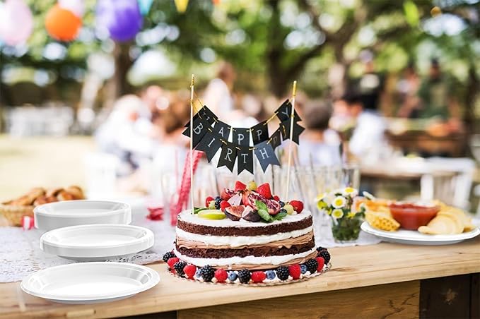White Plastic Plates For Party 10" White Disposable Plates Heavy Duty 100 Pcs Plastic Dinnerware Sets Heavy Duty 350 GSM Disposable Dinnerware Set