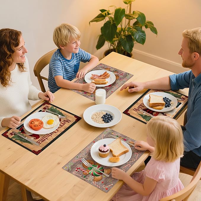 Xmas Placemats Set of 4 Washable Table Place Mats For Dining Kitchen Party Decor