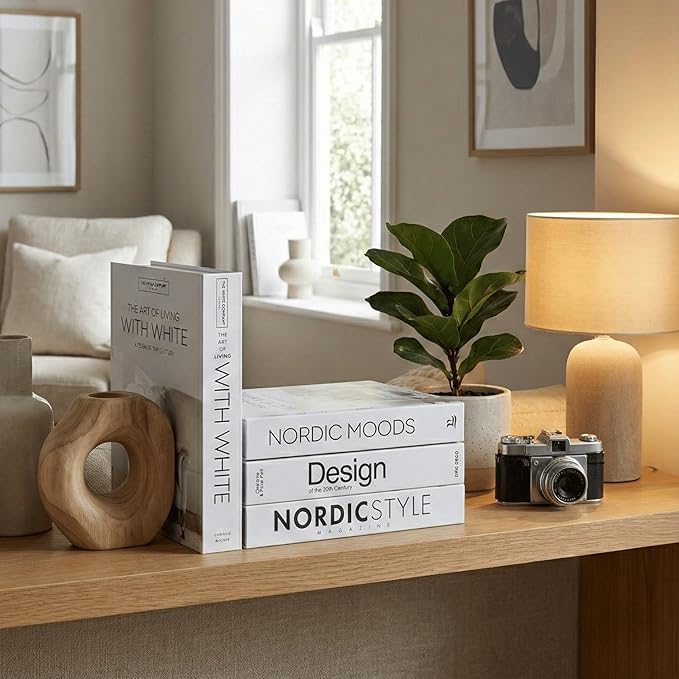 Mono Large | 4 PCS Faux Decorative Books for Home Decor | Not Real Books (Cardboard Boxes) | Coffee Table, Shelf Styling & Modern Aesthetic Accent Pieces for Living Room, Office