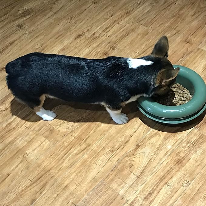 The Mote - Ant Proof Dog Bowl, Innovative Waterless System, Durable & Maintenance-Free, Simple Design Effectively Keeps Ants Out, for Dogs, Cats, and More