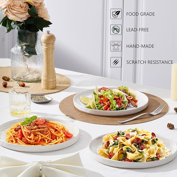 LIANYU Dinner Plates Set of 6, 10.2 Inch Large Ceramic Dessert Plate for Kitchen, Porcelain Serving Dishes for Salad Appetizer Cake Bread, Scratch Resistant, Microwave & Dishwasher Safe, Polar White