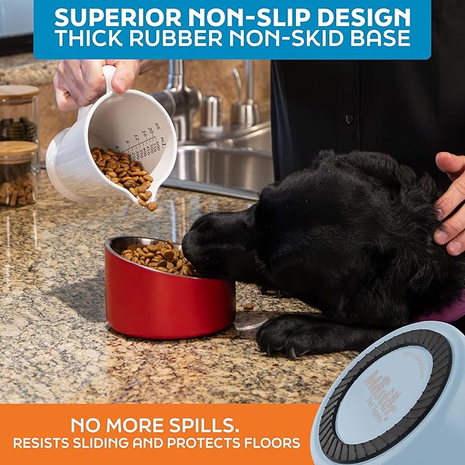 Master Pet Supply Stainless Steel Slanted Dog Cat Food Bowl - 16 oz Heavy Duty - Glacier Blue, Double Wall Insulated, Non-Slip Elevated Bowl for French Bulldogs Pugs Cats, Anti Rust Dishwasher Safe