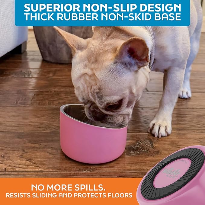 Master Pet Supply Stainless Steel Slanted Dog Cat Food Bowl - 8 oz Heavy Duty - Hyper Pink, Double Wall Insulated, Non-Slip Elevated Bowl for French Bulldogs Pugs Cats, Anti Rust Dishwasher Safe