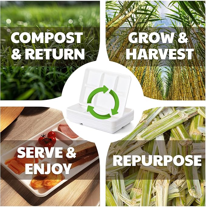 Compostable 5-Compartment Paper Plates, 100 Count, 12.5 x 8.6 inch, Disposable Divided Lunch Trays, Biodegradable Bagasse Sectional Plates for Buffet, Parties, Events & Daily Use, (White)