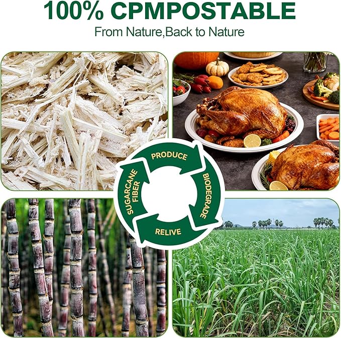 DaYammi 100% Compostable Oval Paper Plates 12 Inch, 60-Pack Heavy Duty Paper Plates Bulk,Biodegradable Bagasse,Eco-Friendly Disposable Dinner Plate for BBQ,Picnic,Party (BPI Certified,Microwaveable)