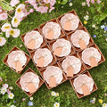 12 Pcs Wedding Favors for Guests Small Ceramic Bowl Bulk Gifts Set 3.3 Inch Floral Design Mini Dipping Sauce Dish with Card Box for Bridal Pooja Baby Shower Birthday Guest Gift (Pink)