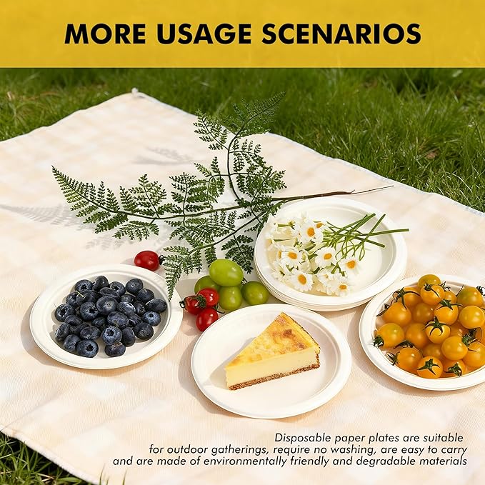 RACETOP Compostable Small Paper Plates 6 Inch [100 Pack], Dessert Plates, Disposable Biodegradable Heavy Duty Paper Plates, Made of Natural Sugarcane Fibers, Unbleached White, Round
