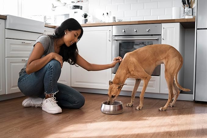 Sipworks Stainless Steel Dog Bowl – 32oz Weighted Metal Food and Water Bowls for Dogs and Cats with Non-Slip Base - Pet Bowls for All Breeds Sizes for Travel & Outdoor Play | Salmon