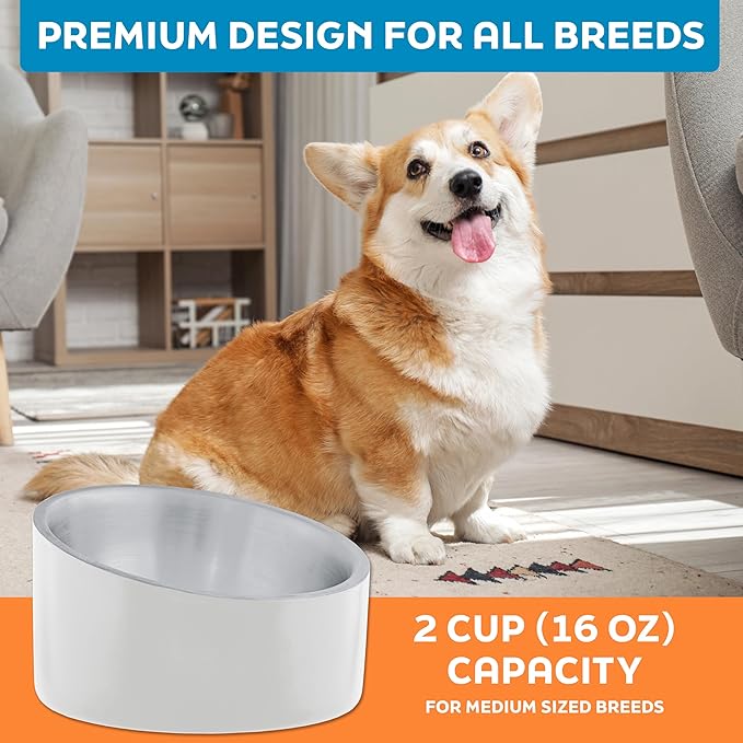 Master Pet Supply Stainless Steel Slanted Dog Cat Food Bowl - 16 oz Heavy Duty - Bone White, Double Wall Insulated, Non-Slip Elevated Bowl for French Bulldogs Pugs Cats, Anti Rust Dishwasher Safe
