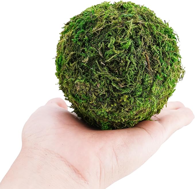 BYHER Decorative Moss Balls Set - Fake Moss Balls for Bowl Fillers, Centerpiece Decor, Home Decor, Vase Filler, Wedding Decor, Table Arrangement, Coffee Accents, DIY Crafts (Extra Large - 4"-Set of 6)