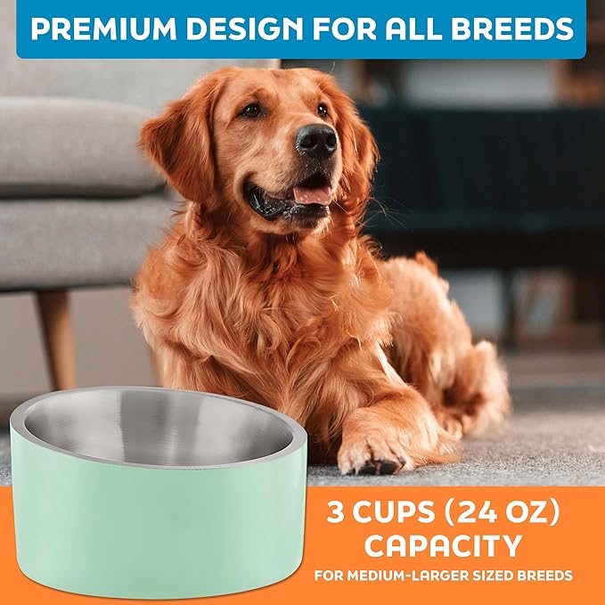 Master Pet Supply Stainless Steel Slanted Dog Cat Food Bowl - 24 oz Heavy Duty - Pistachio, Double Wall Insulated, Non-Slip Elevated Bowl for French Bulldogs Pugs Cats, Anti Rust Dishwasher Safe