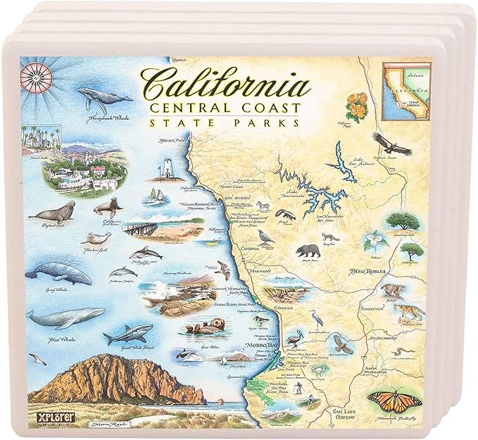 California Central Coast Ceramic Coaster with Cork Base - Set of 4