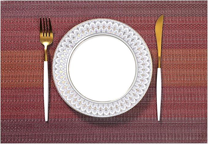 LEXMORE Placemats Set of 4 Vinyl/Plastic Woven Place Mats for Kitchen Table Indoor/Outdoor Washable Placemat Wipeable Dining Table Mats(Pomegranate Parade)