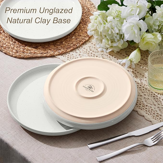 LIANYU Stoneware Dinner Plates Set of 6, 10.5 Inch Large Ceramic Salad Plates for Kitchen, Porcelain Round Serving Dishes Set, Oven, Microwave & Dishwasher Safe, Scratch Resistant, Snowy White