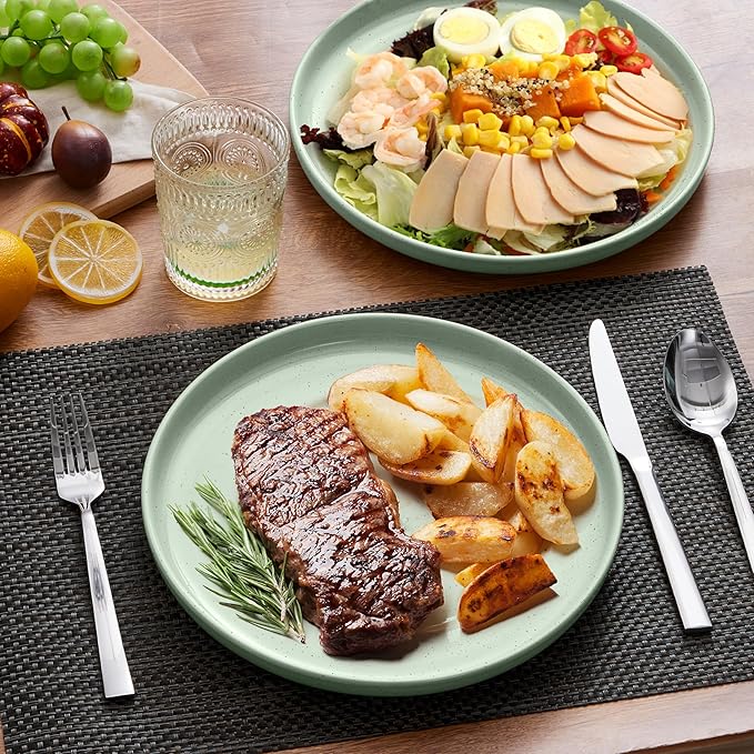 LIANYU Dinner Plates Set of 4, 10.5’’ Large and Round Stoneware Plates, Ceramic Dishes Set for Kitchen Serving Salad, Dessert, Steak, Oven, Microwave & Dishwasher Safe, Scratch Resistant, Fog Green