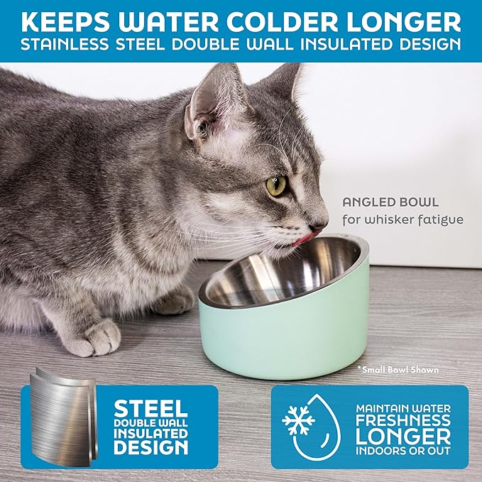 Master Pet Supply Stainless Steel Slanted Dog Cat Food Bowl - 24 oz Heavy Duty - Glacier Blue, Double Wall Insulated, Non-Slip Elevated Bowl for French Bulldogs Pugs Cats, Anti Rust Dishwasher Safe