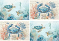 Nautical Placemats Set of 4 Washable Table Place Mats for Dining Kitchen Party Decor