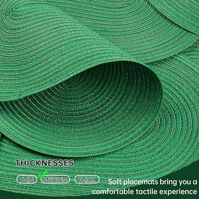 Noctiflorous Oval Braided Placemats Set of 8 Woven 12x18 Inch Non Slip Washable Heat Resistant Place Mats Round Tablemats for Dining Kitchen Party Daily Table Decor Dinner Mats (Green Shine, 8)