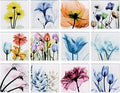 Empire Art Direct Flower Coasters for Drinks for Tabletop Protection Drink Coasters Set Glass Floral Sets of 12 with Cork Bottom by Albert Koetsier B1