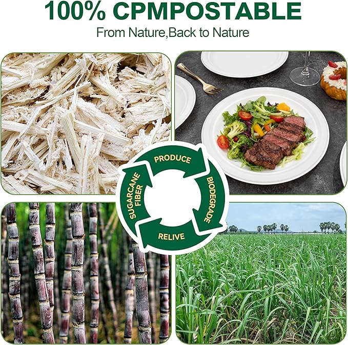 DaYammi 100% Compostable Paper Plates 9 Inch, 60-Pack Heavy Duty Paper Plates Bulk,Biodegradable Bagasse,Eco-Friendly Disposable Dinner Plate for BBQ,Picnic,Party (BPI Certified,Microwaveable)