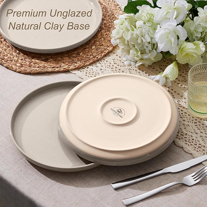 LIANYU Dinner Plates Set of 4, 10.5 Inch Large & Round Porcelain Dinner Plates, Stoneware Dishes Set for Serving Salad, Dessert, Appetizer, Oven, Microwave & Dishwasher Safe, Stackable, Four-color