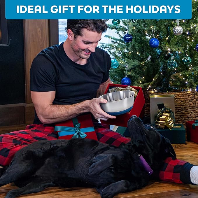 Master Pet Supply Stainless Steel Dog Bowls Set of 2 with Extra Thick Silicone Base - 2 Cup (16 oz) Aqua Sky, Non-Slip, Dishwasher Safe Metal Bowls, Pet Dog Food Bowl for Dogs, Cats, Anti Rust