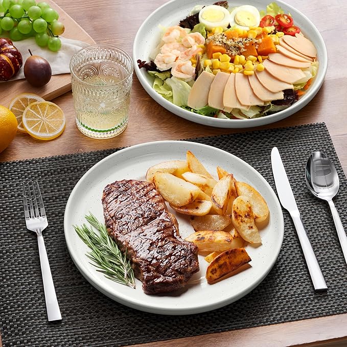 LIANYU Stoneware Dinner Plates Set of 6, 10.5 Inch Porcelain Dinner Plates for Kitchen, Large and Round Ceramic Salad Dishes Set, Oven, Microwave & Dishwasher Safe, Scratch Resistant, Three-color
