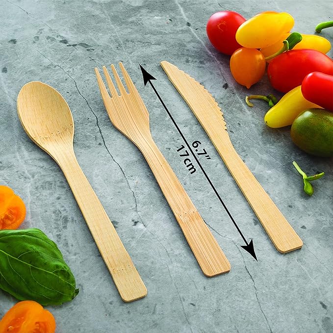 2ZEBRAZ Bamboo Cutlery Set – 100 Disposable Spoons | Reusable Smooth Flatware, Heavy-Duty Natural Utensils for Dining and Entertaining